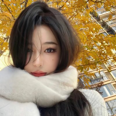 精灵高中之纽约